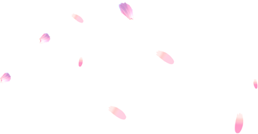 꽃잎