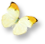 나비